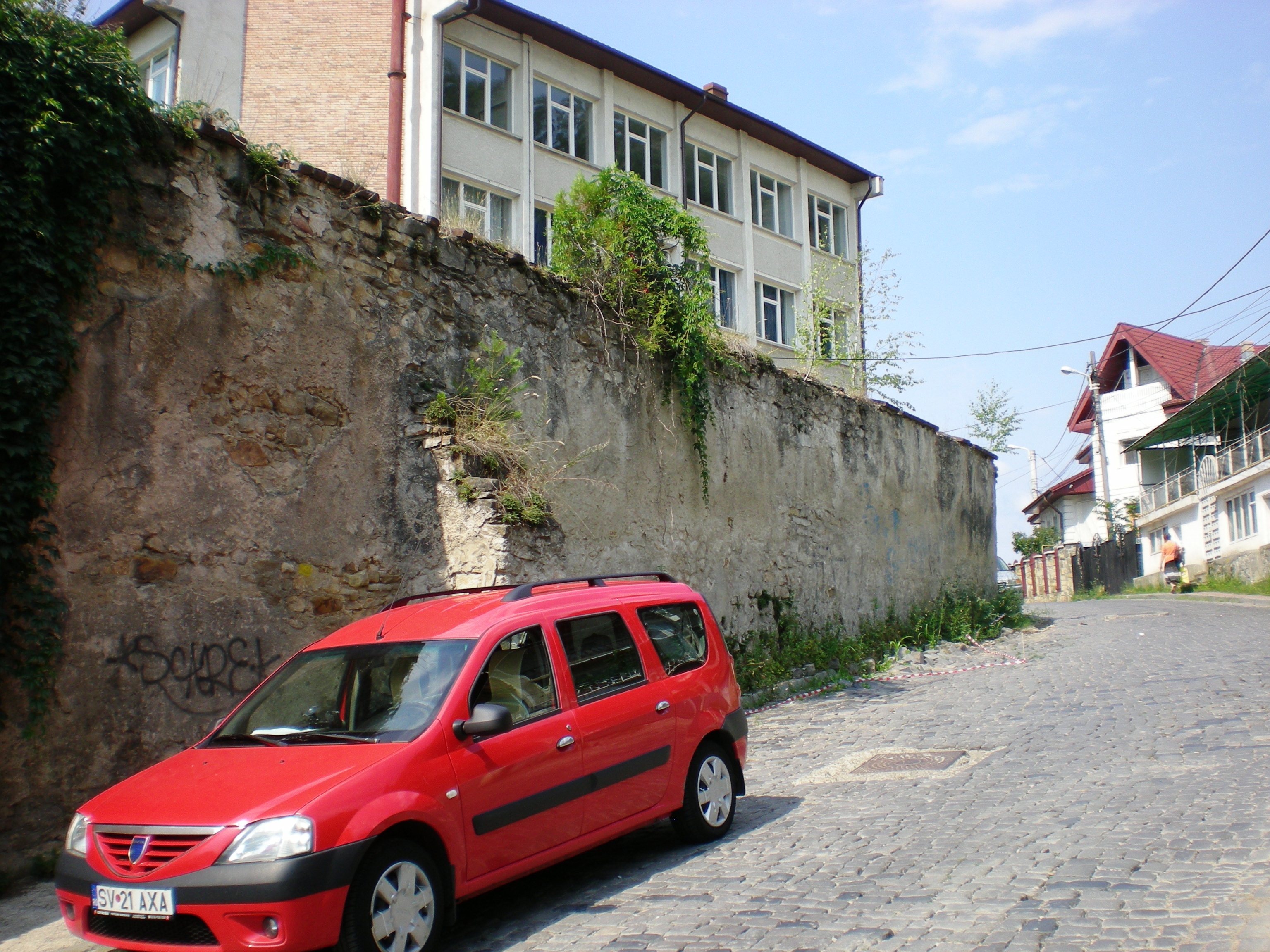 Negulesti